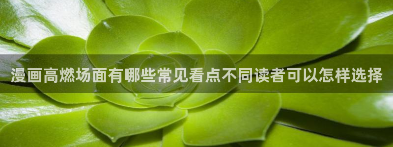 免费漫画在线免费阅读:漫画高燃场面有哪些常见看点不同读者可以怎样选择