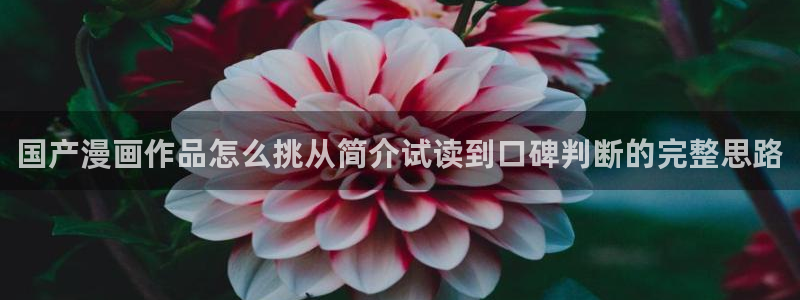 免费漫画网站导航:国产漫画作品怎么挑从简介试读到口碑判断的完整思路