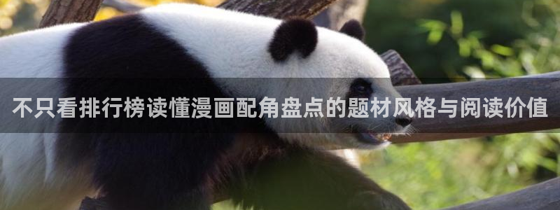 免费看漫画网站:不只看排行榜读懂漫画配角盘点的题材风格与阅读价值
