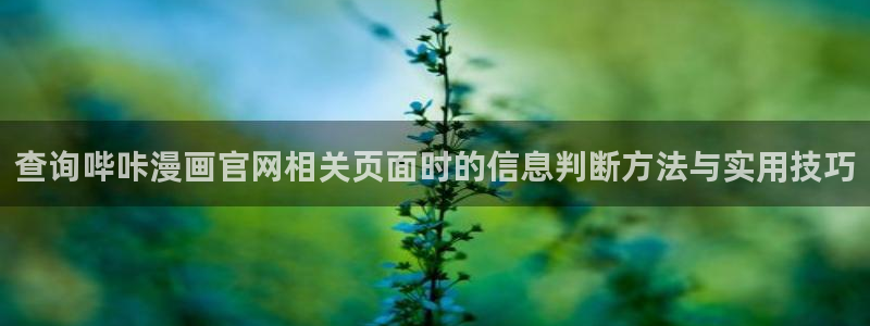 免费漫画最新章节：查询哔咔漫画官网相关页面时的信息判断方法与实用技巧